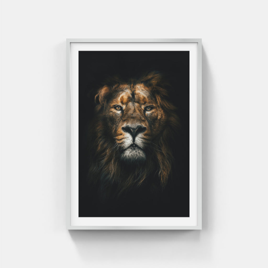 Royal Reverie: A Vivid Lion Portrait Wall Art