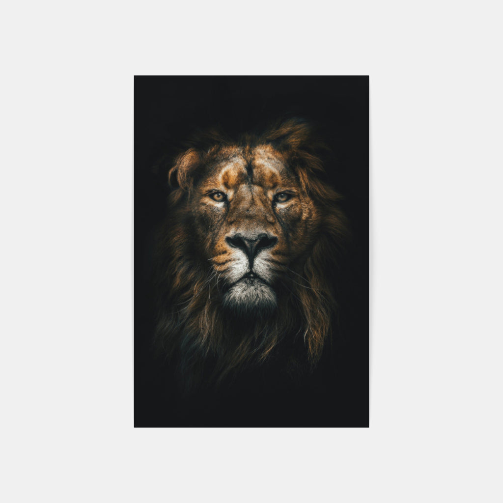 Royal Reverie: A Vivid Lion Portrait Wall Art