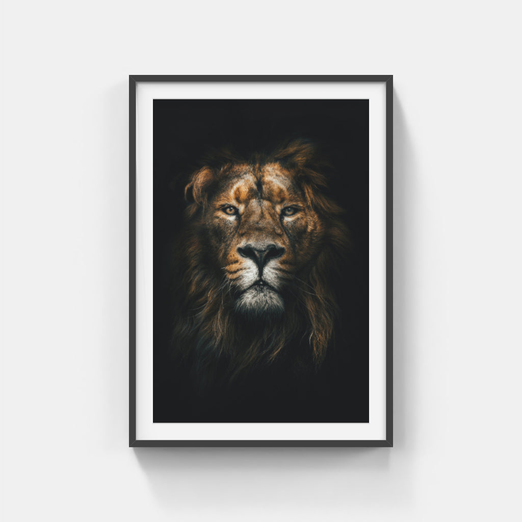 Royal Reverie: A Vivid Lion Portrait Wall Art