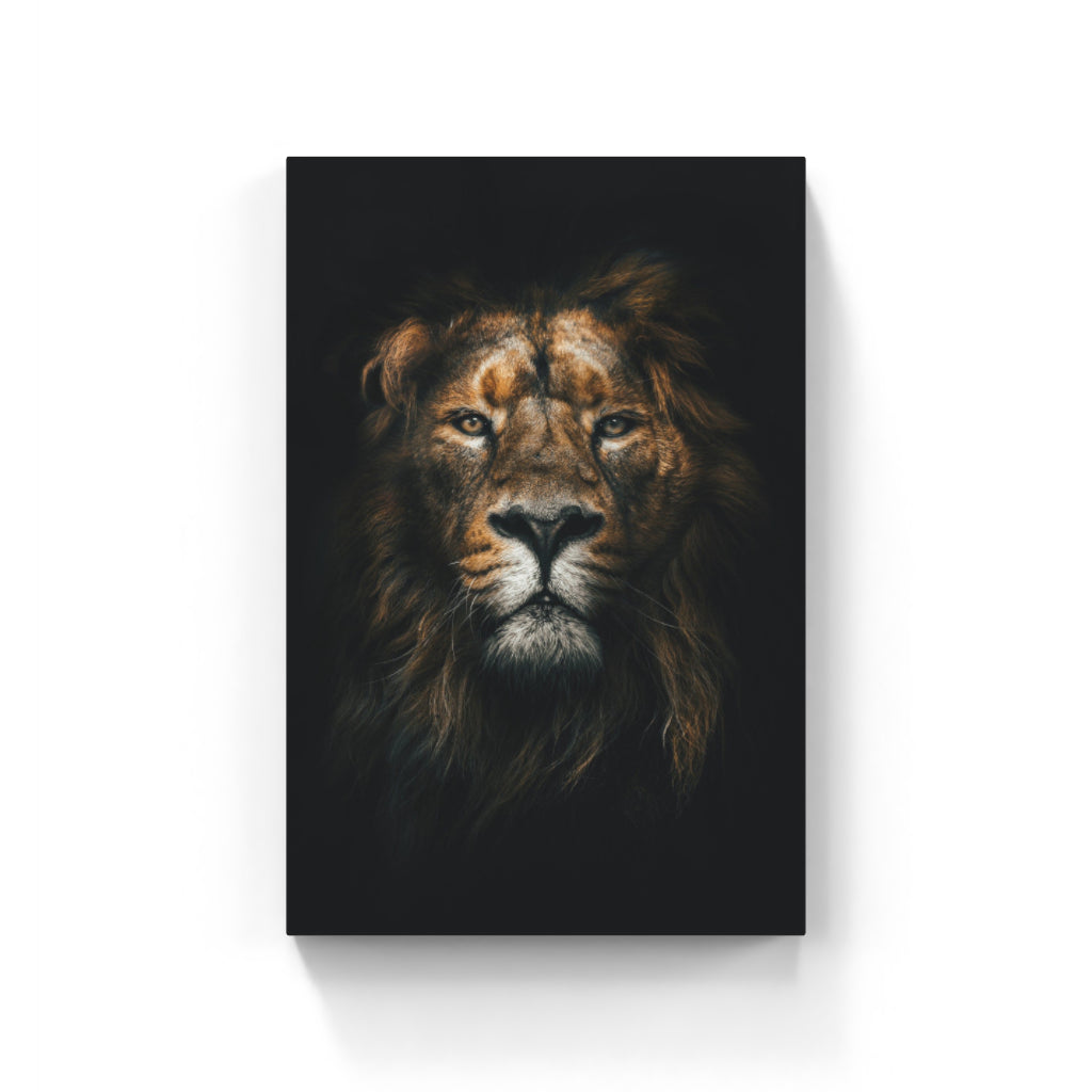 Royal Reverie: A Vivid Lion Portrait Wall Art