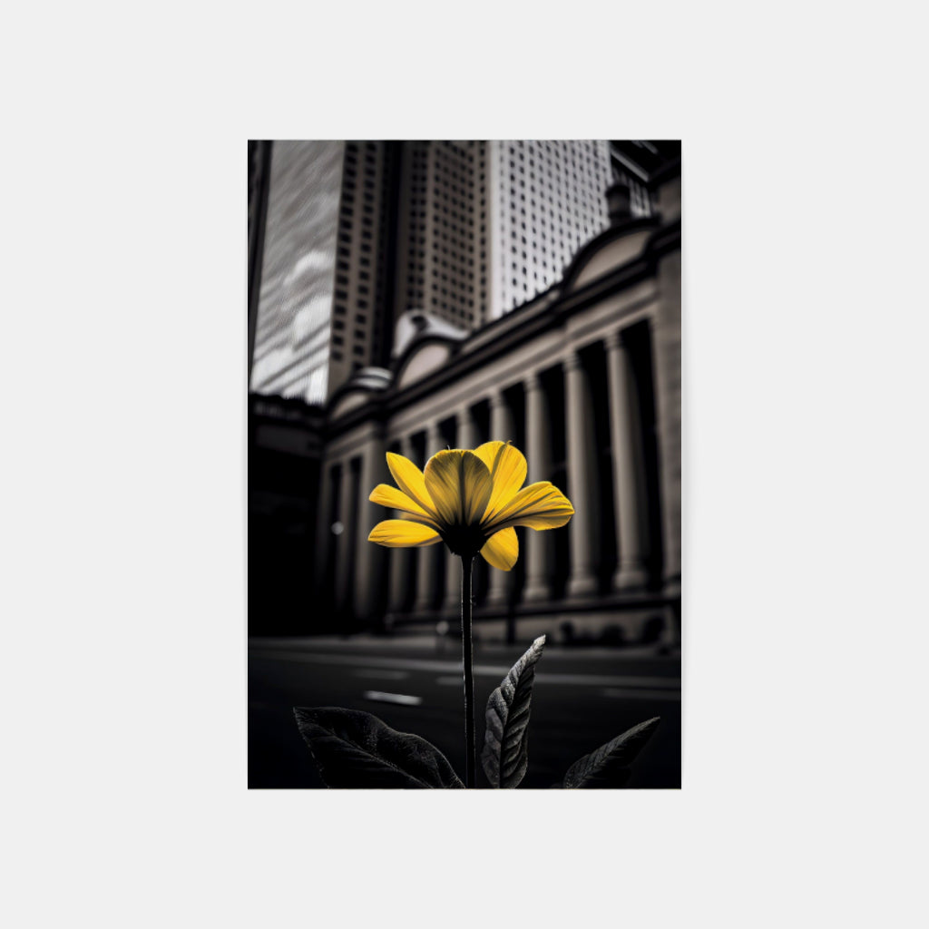 Urban Blooms: Yellow Flower Against Black and White Architecture Wall Art